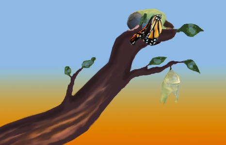 emergence as butterfly